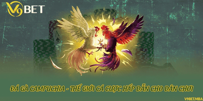 Đá gà Campuchia - Thế giới cá cược hấp dẫn cho dân chơi