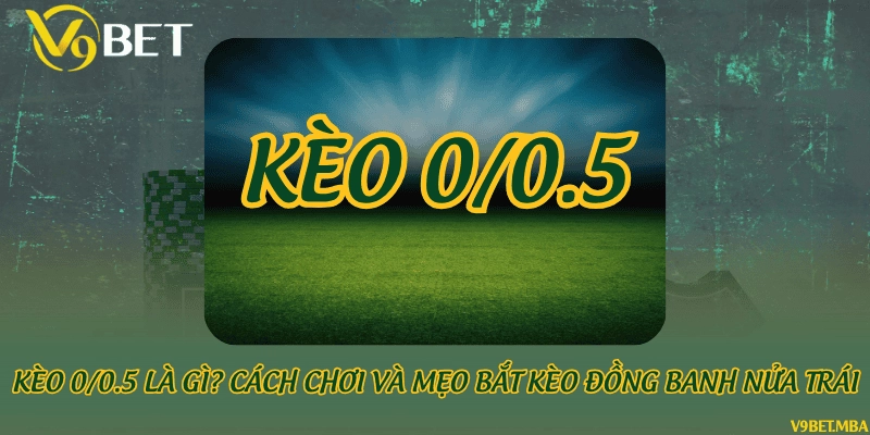 Kèo 0/0.5 là gì? Cách chơi và mẹo bắt kèo đồng banh nửa trái